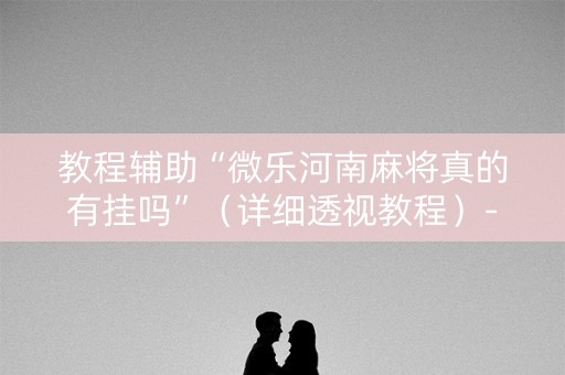 教程辅助“微乐河南麻将真的有挂吗”（详细透视教程）-哔哩哔哩