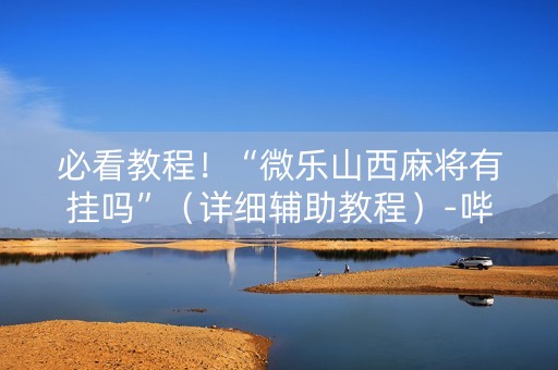 必看教程！“微乐山西麻将有挂吗”（详细辅助教程）-哔哩哔哩