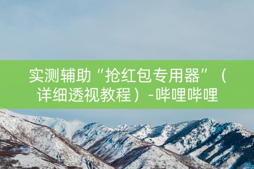 实测辅助“抢红包专用器”（详细透视教程）-哔哩哔哩