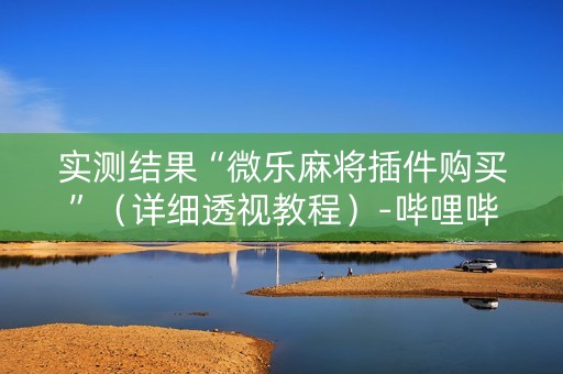 实测结果“微乐麻将插件购买”（详细透视教程）-哔哩哔哩