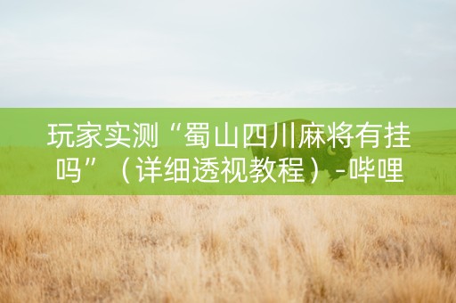 玩家实测“蜀山四川麻将有挂吗”（详细透视教程）-哔哩哔哩