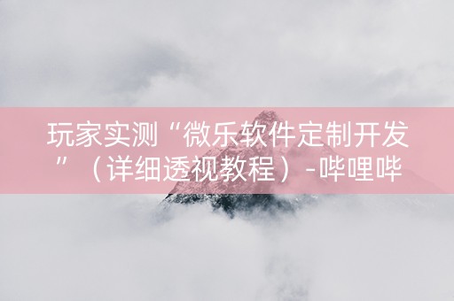 玩家实测“微乐软件定制开发”（详细透视教程）-哔哩哔哩
