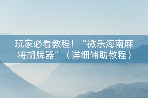 玩家必看教程！“微乐海南麻将胡牌器”（详细辅助教程）-哔哩哔哩