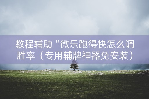 教程辅助“微乐跑得快怎么调胜率（专用辅牌神器免安装）