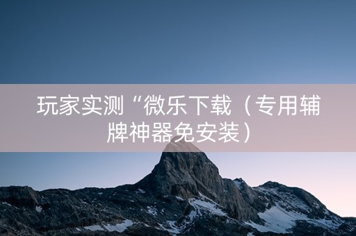 玩家实测“微乐下载（专用辅牌神器免安装）