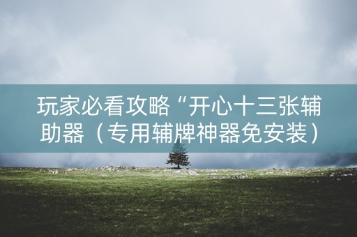 玩家必看攻略“开心十三张辅助器（专用辅牌神器免安装）