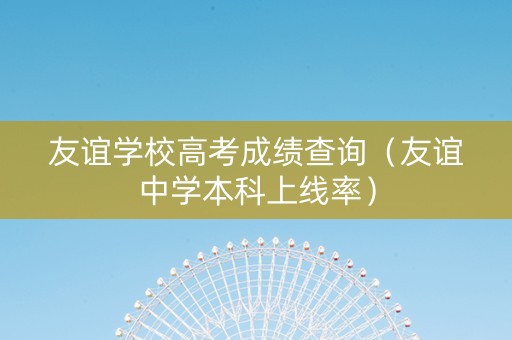 友谊学校高考成绩查询（友谊中学本科上线率）