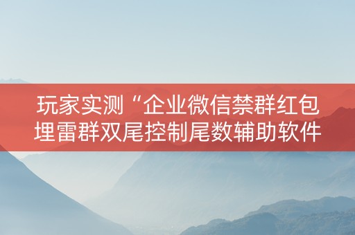 玩家实测“企业微信禁群红包埋雷群双尾控制尾数辅助软件”（详细透视教程）-哔哩哔哩