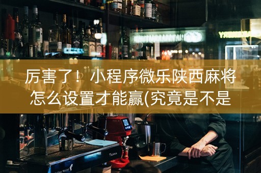 厉害了！小程序微乐陕西麻将怎么设置才能赢(究竟是不是有挂)