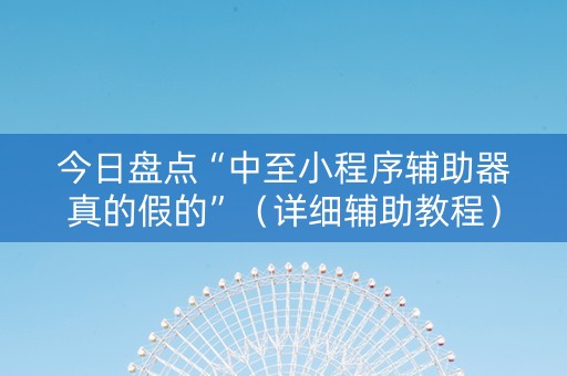 今日盘点“中至小程序辅助器真的假的”（详细辅助教程）-哔哩哔哩