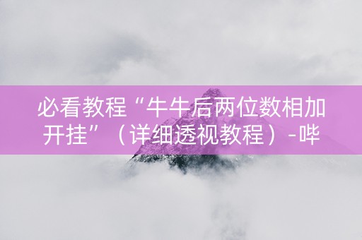 必看教程“牛牛后两位数相加开挂”（详细透视教程）-哔哩哔哩