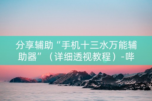 分享辅助“手机十三水万能辅助器”（详细透视教程）-哔哩哔哩