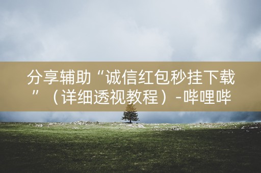 分享辅助“诚信红包秒挂下载”（详细透视教程）-哔哩哔哩