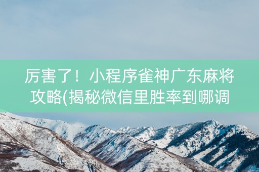 厉害了！小程序雀神广东麻将攻略(揭秘微信里胜率到哪调)