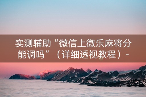 实测辅助“微信上微乐麻将分能调吗”（详细透视教程）-哔哩哔哩