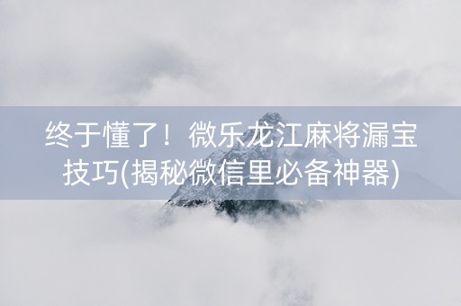终于懂了！微乐龙江麻将漏宝技巧(揭秘微信里必备神器)