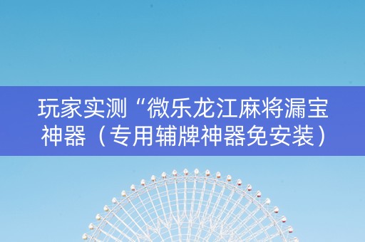 玩家实测“微乐龙江麻将漏宝神器（专用辅牌神器免安装）
