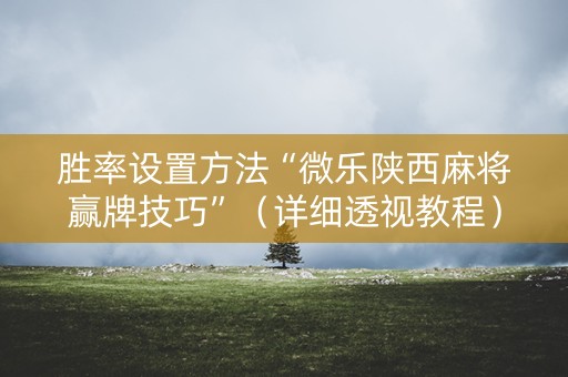 胜率设置方法“微乐陕西麻将赢牌技巧”（详细透视教程）-哔哩哔哩