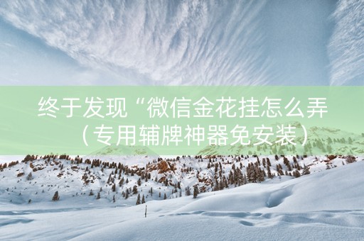 终于发现“微信金花挂怎么弄（专用辅牌神器免安装）
