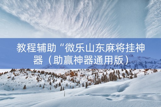 教程辅助“微乐山东麻将挂神器（助赢神器通用版）