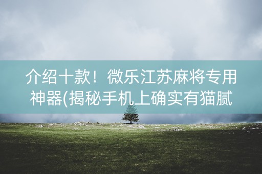 介绍十款！微乐江苏麻将专用神器(揭秘手机上确实有猫腻)