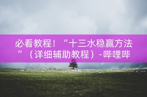 必看教程！“十三水稳赢方法”（详细辅助教程）-哔哩哔哩