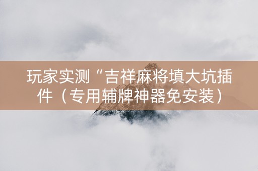 玩家实测“吉祥麻将填大坑插件（专用辅牌神器免安装）