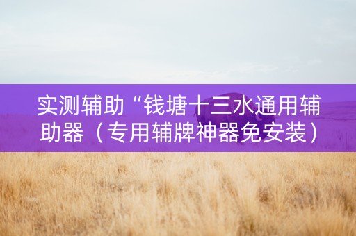 实测辅助“钱塘十三水通用辅助器（专用辅牌神器免安装）