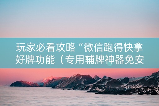 玩家必看攻略“微信跑得快拿好牌功能（专用辅牌神器免安装）