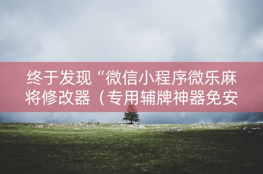 终于发现“微信小程序微乐麻将修改器（专用辅牌神器免安装）
