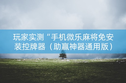 玩家实测“手机微乐麻将免安装控牌器（助赢神器通用版）