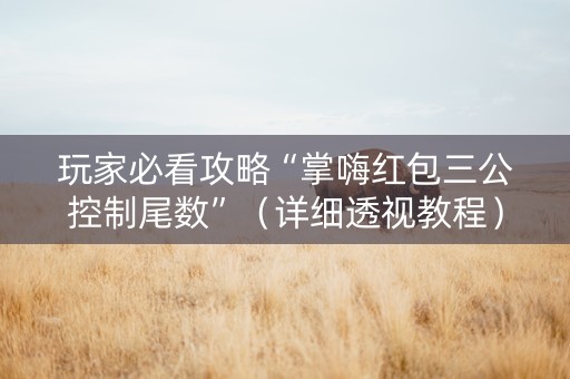 玩家必看攻略“掌嗨红包三公控制尾数”（详细透视教程）-哔哩哔哩