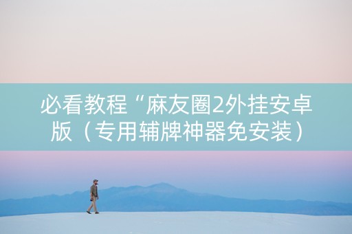 必看教程“麻友圈2外挂安卓版（专用辅牌神器免安装）