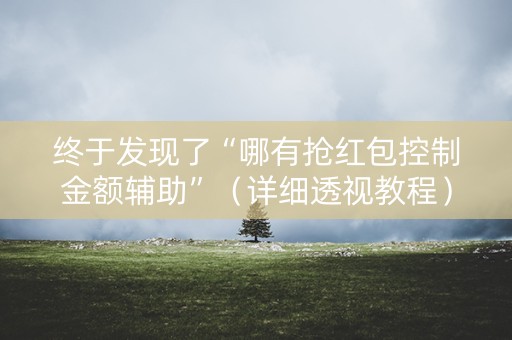 终于发现了“哪有抢红包控制金额辅助”（详细透视教程）-哔哩哔哩