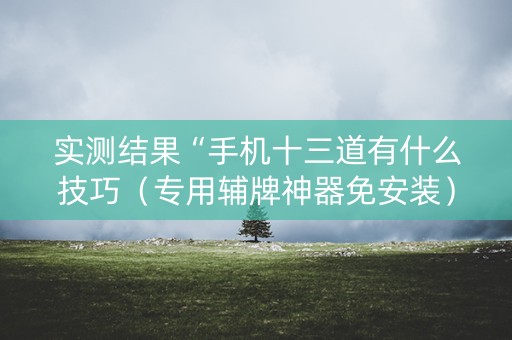 实测结果“手机十三道有什么技巧（专用辅牌神器免安装）