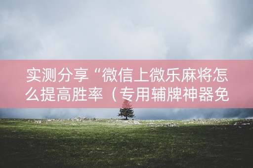 实测分享“微信上微乐麻将怎么提高胜率（专用辅牌神器免安装）