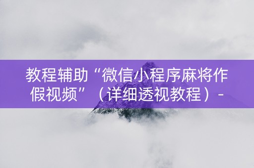 教程辅助“微信小程序麻将作假视频”（详细透视教程）-哔哩哔哩