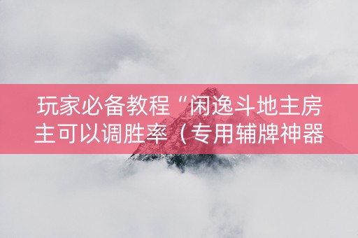 玩家必备教程“闲逸斗地主房主可以调胜率（专用辅牌神器免安装）