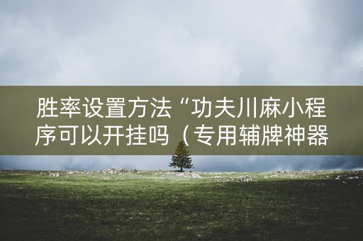 胜率设置方法“功夫川麻小程序可以开挂吗（专用辅牌神器免安装）