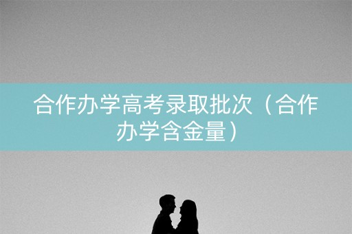 合作办学高考录取批次（合作办学含金量）