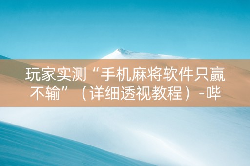 玩家实测“手机麻将软件只赢不输”（详细透视教程）-哔哩哔哩