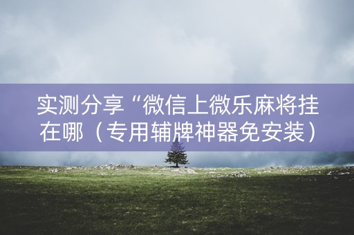 实测分享“微信上微乐麻将挂在哪（专用辅牌神器免安装）