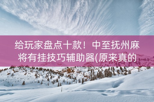 给玩家盘点十款！中至抚州麻将有挂技巧辅助器(原来真的有挂)