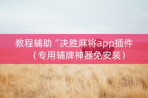 教程辅助“决胜麻将app插件（专用辅牌神器免安装）
