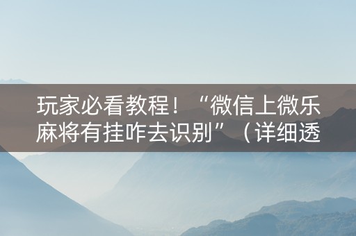玩家必看教程！“微信上微乐麻将有挂咋去识别”（详细透视教程）-哔哩哔哩