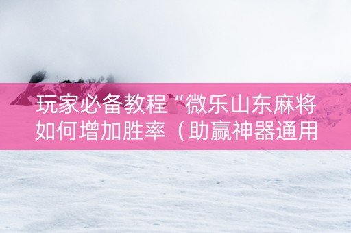 玩家必备教程“微乐山东麻将如何增加胜率（助赢神器通用版）