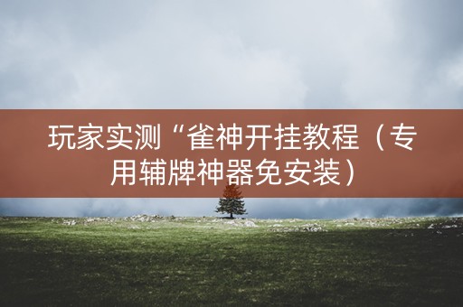 玩家实测“雀神开挂教程（专用辅牌神器免安装）