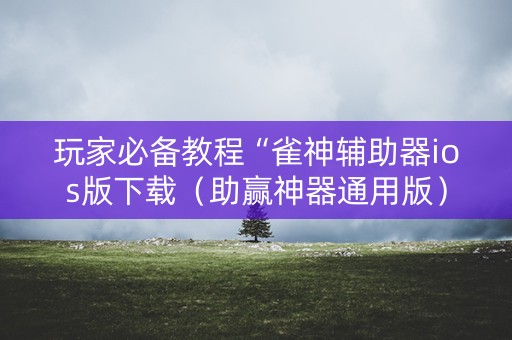 玩家必备教程“雀神辅助器ios版下载（助赢神器通用版）