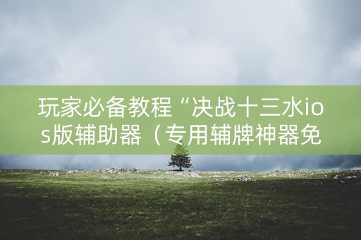 玩家必备教程“决战十三水ios版辅助器（专用辅牌神器免安装）