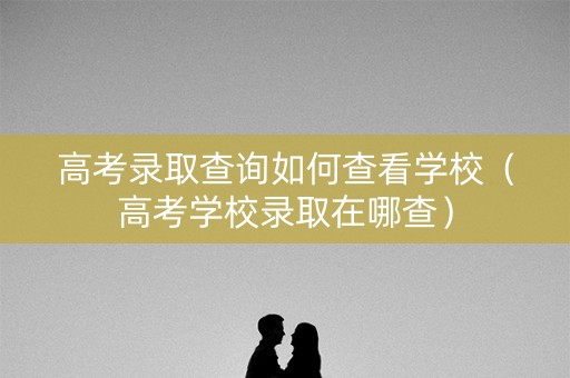 高考录取查询如何查看学校（高考学校录取在哪查）